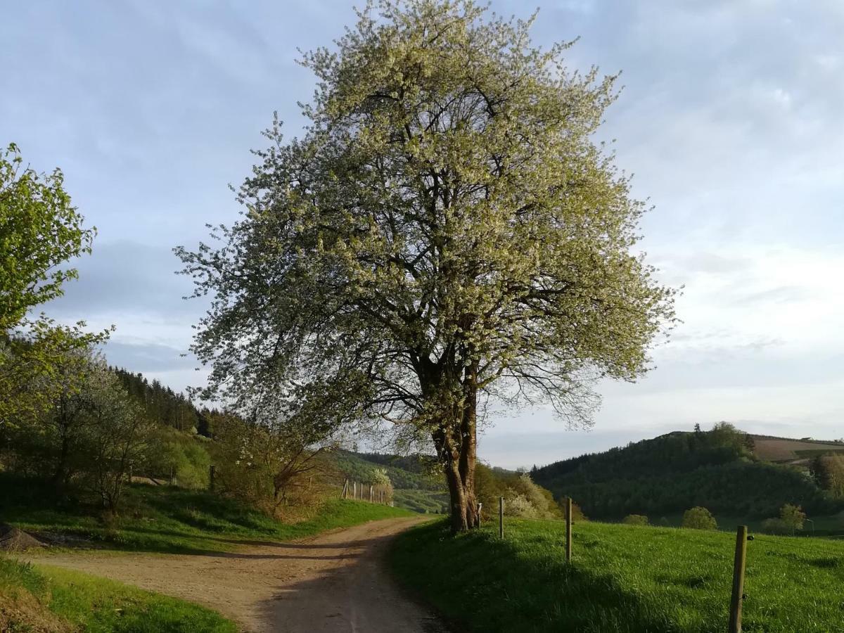 Bauernhofpension Wiebelhaus-Mester Lennestadt Zewnętrze zdjęcie