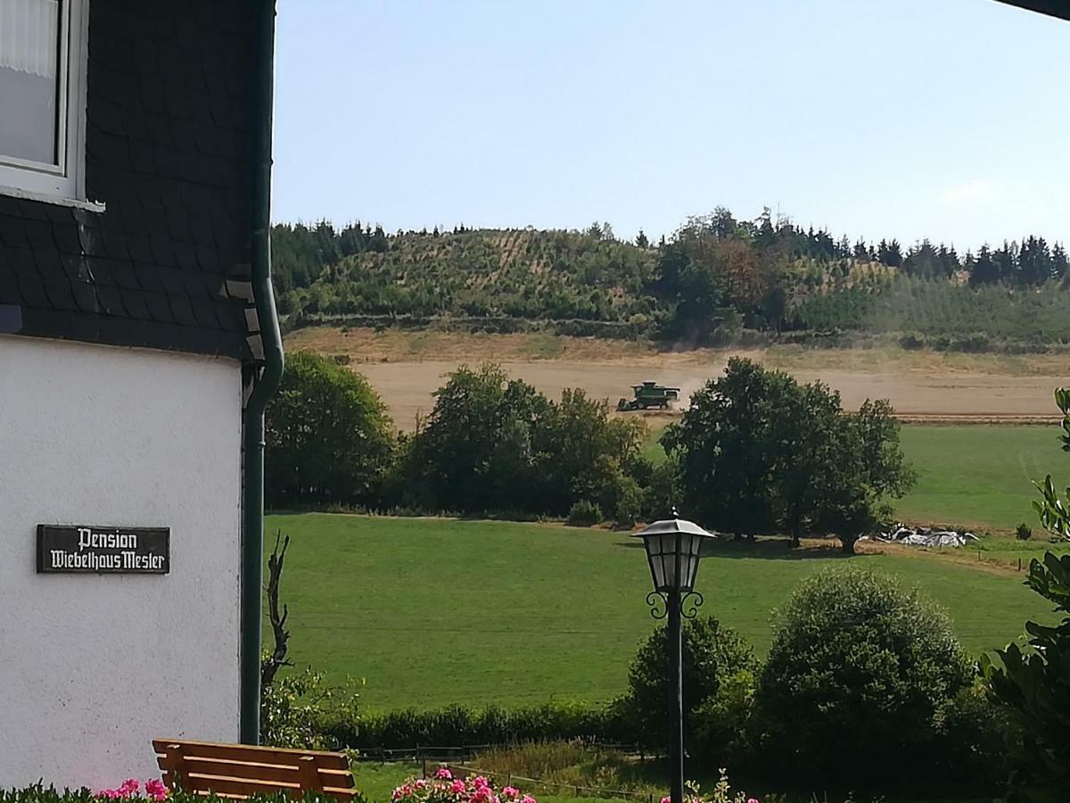 Bauernhofpension Wiebelhaus-Mester Lennestadt Zewnętrze zdjęcie